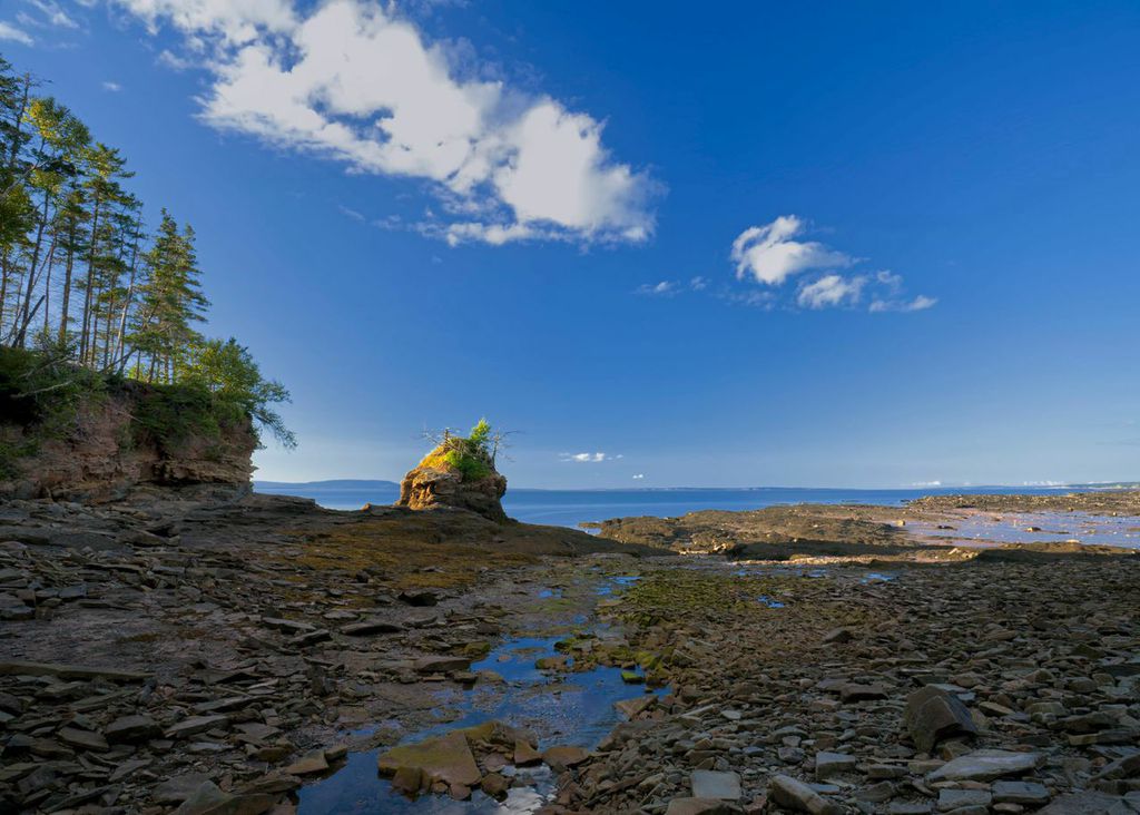 Nature 150 | Baie de Fundy